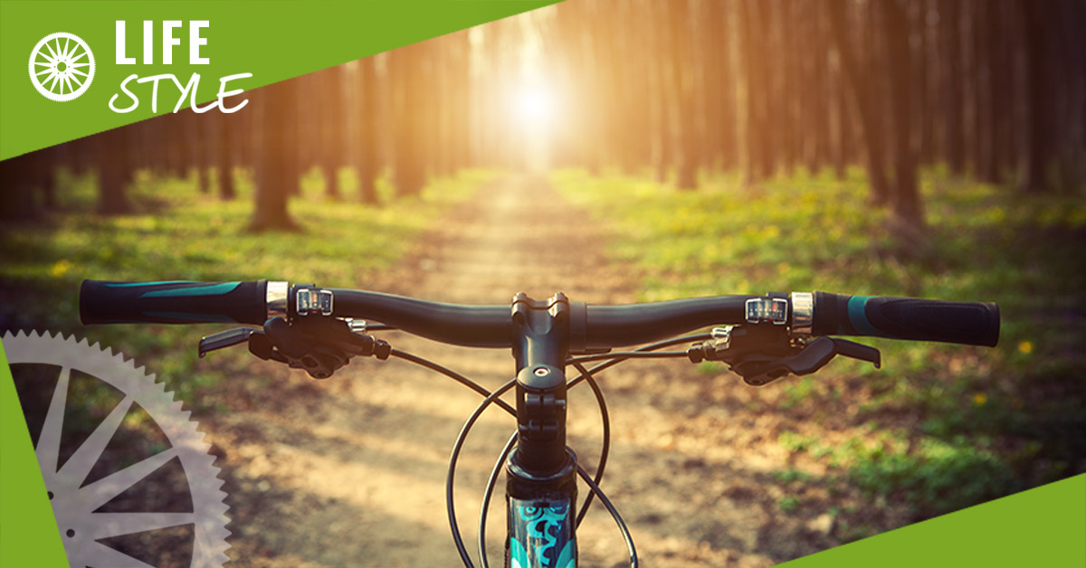 percorsi da fare in bicicletta ombreggiato